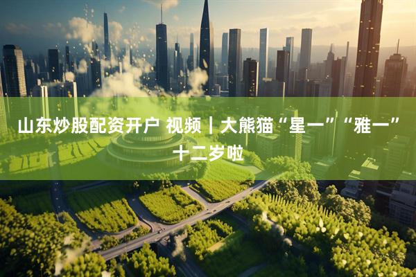 山东炒股配资开户 视频｜大熊猫“星一”“雅一”十二岁啦