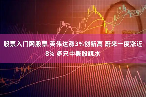 股票入门网股票 英伟达涨3%创新高 蔚来一度涨近8% 多只中概股跳水
