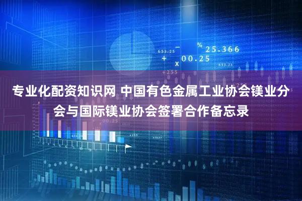 专业化配资知识网 中国有色金属工业协会镁业分会与国际镁业协会签署合作备忘录