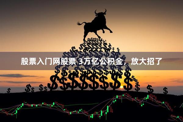 股票入门网股票 3万亿公积金，放大招了