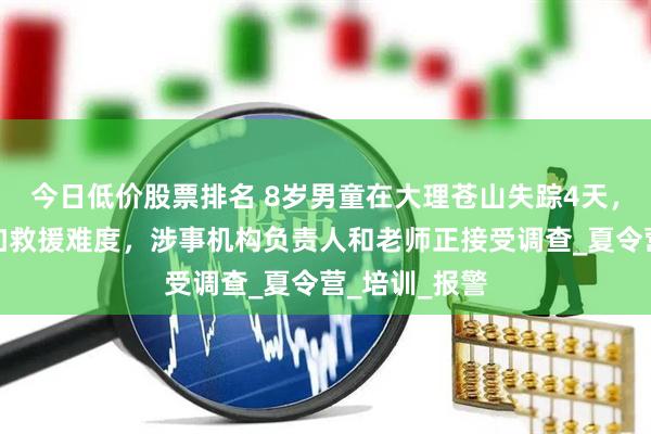 今日低价股票排名 8岁男童在大理苍山失踪4天，连续降雨增加救援难度，涉事机构负责人和老师正接受调查_夏令营_培训_报警