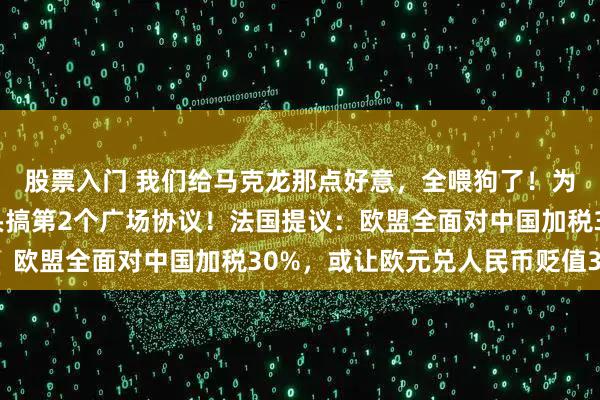 股票入门 我们给马克龙那点好意，全喂狗了！为针对中国，法国想牵头搞第2个广场协议！法国提议：欧盟全面对中国加税30%，或让欧元兑人民币贬值30%