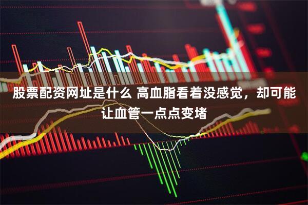股票配资网址是什么 高血脂看着没感觉，却可能让血管一点点变堵